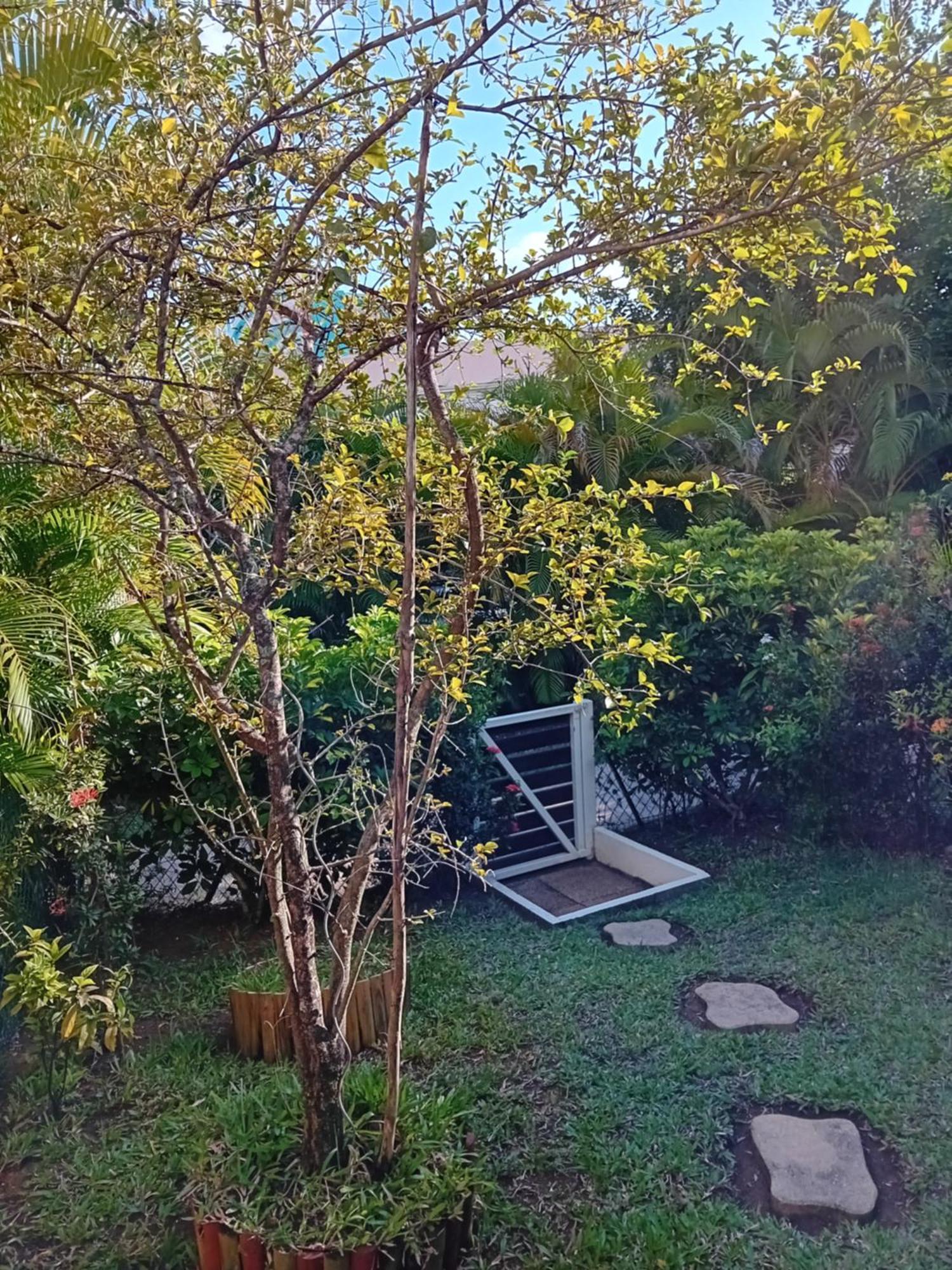 Au Bout Du Reve - Le Gosier Villa Le Gosier  Dış mekan fotoğraf